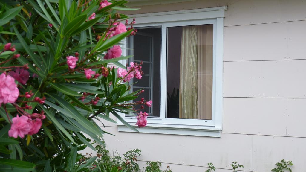 Azores Garden House - Private Suites & Apartments - Automatic Self Check-In Ponta Delgada Exterior foto