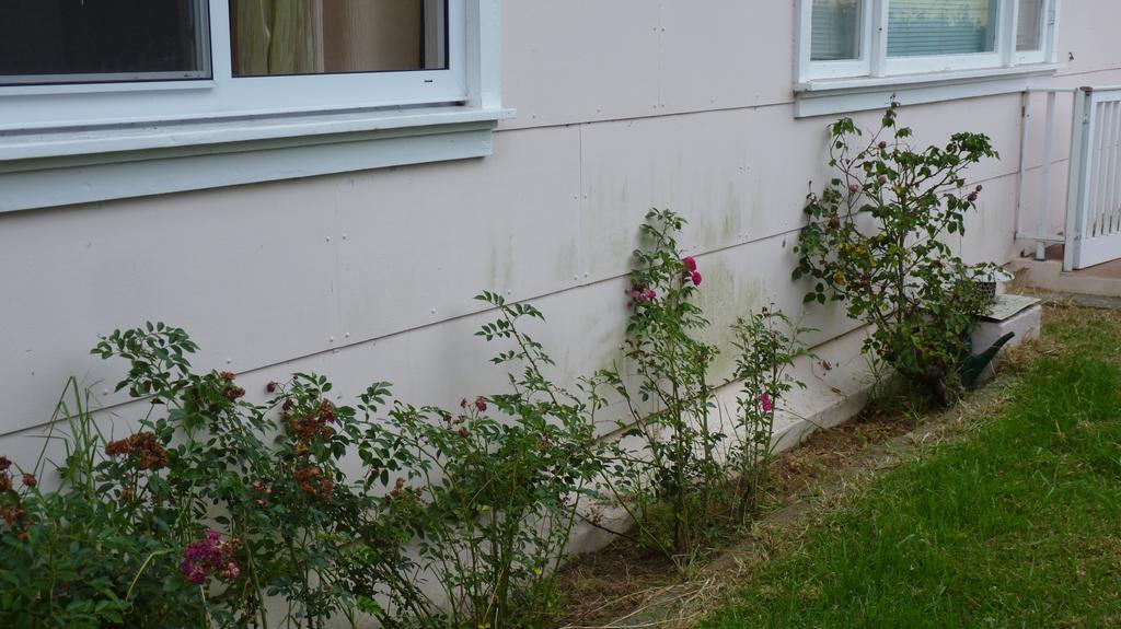 Azores Garden House - Private Suites & Apartments - Automatic Self Check-In Ponta Delgada Exterior foto