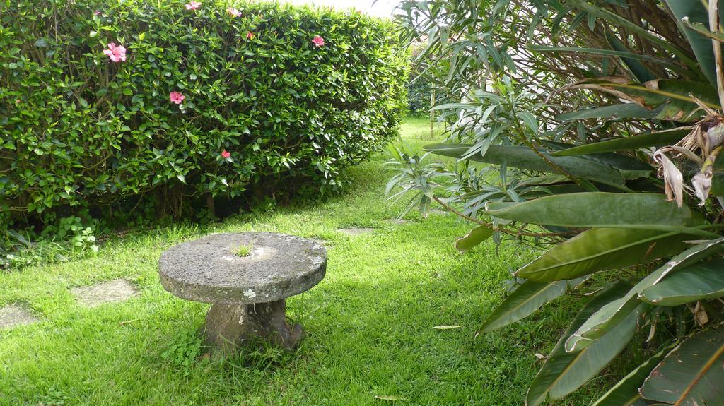 Azores Garden House - Private Suites & Apartments - Automatic Self Check-In Ponta Delgada Exterior foto
