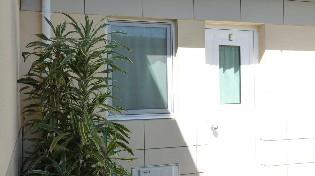 Azores Garden House - Private Suites & Apartments - Automatic Self Check-In Ponta Delgada Exterior foto