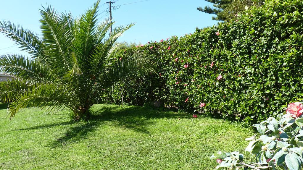 Azores Garden House - Private Suites & Apartments - Automatic Self Check-In Ponta Delgada Exterior foto