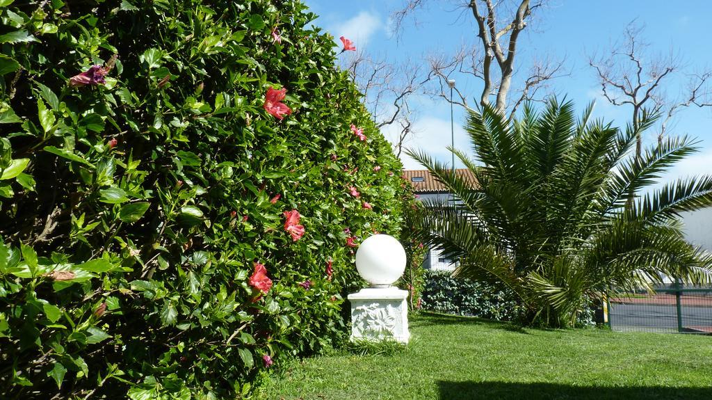 Azores Garden House - Private Suites & Apartments - Automatic Self Check-In Ponta Delgada Exterior foto